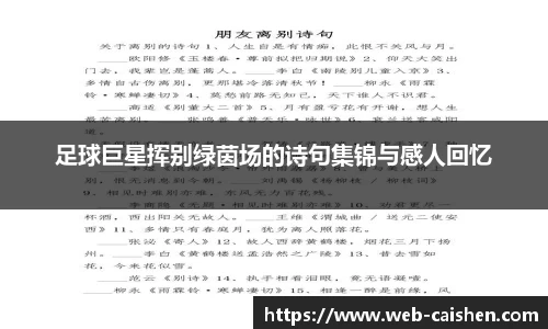 足球巨星挥别绿茵场的诗句集锦与感人回忆