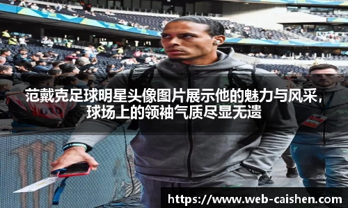 范戴克足球明星头像图片展示他的魅力与风采，球场上的领袖气质尽显无遗