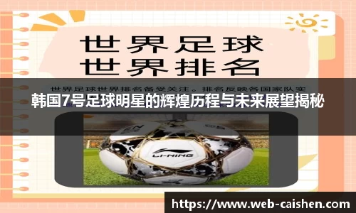 韩国7号足球明星的辉煌历程与未来展望揭秘